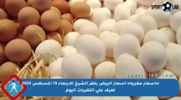 «أسعار مغرية» أسعار البيض بكفر الشيخ الأربعاء 13 أغسطس 2025 تعرف على التغيرات اليوم